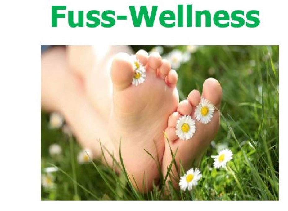 Fuss Wellness v2