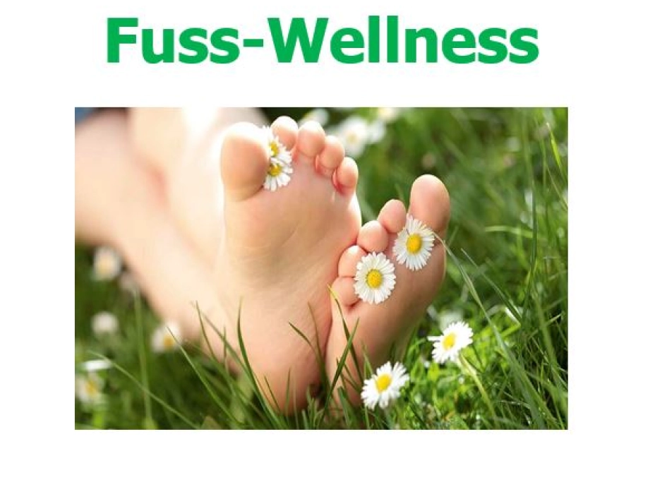 Fuss Wellness